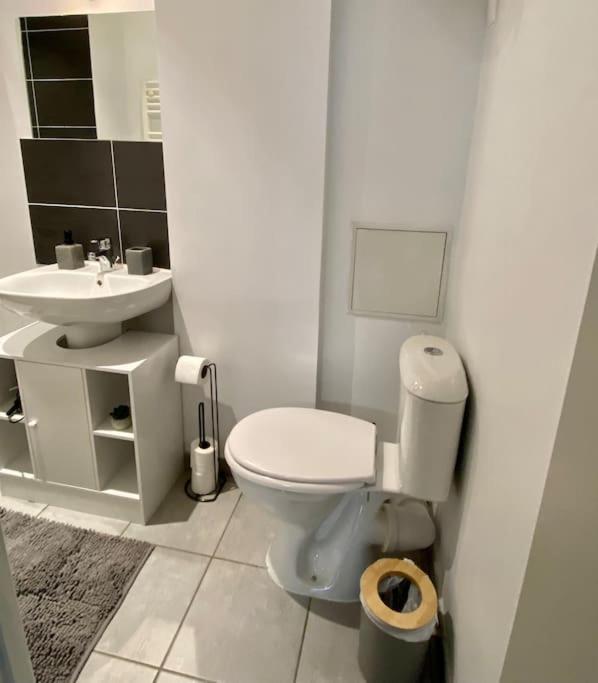 Vaste Appartement Renove - Centre Ville Bourg-en-Bresse Exterior foto
